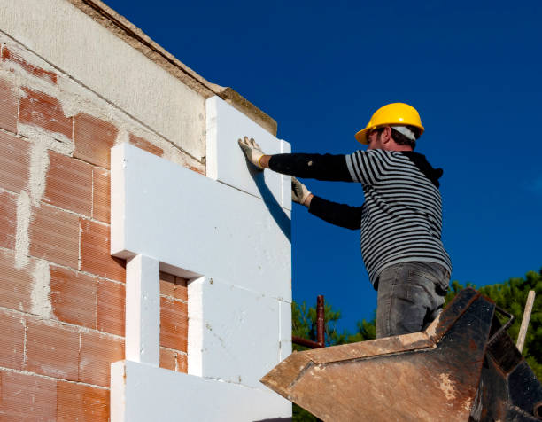 Best Geographic-Specific Insulation Services in Elephant Butte, NM