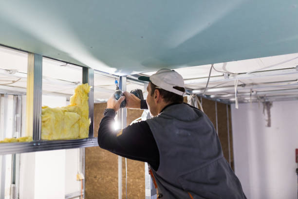 Best Spray Foam Insulation in Elephant Butte, NM